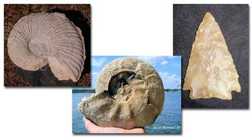 Fossils found around Lake Whitney
